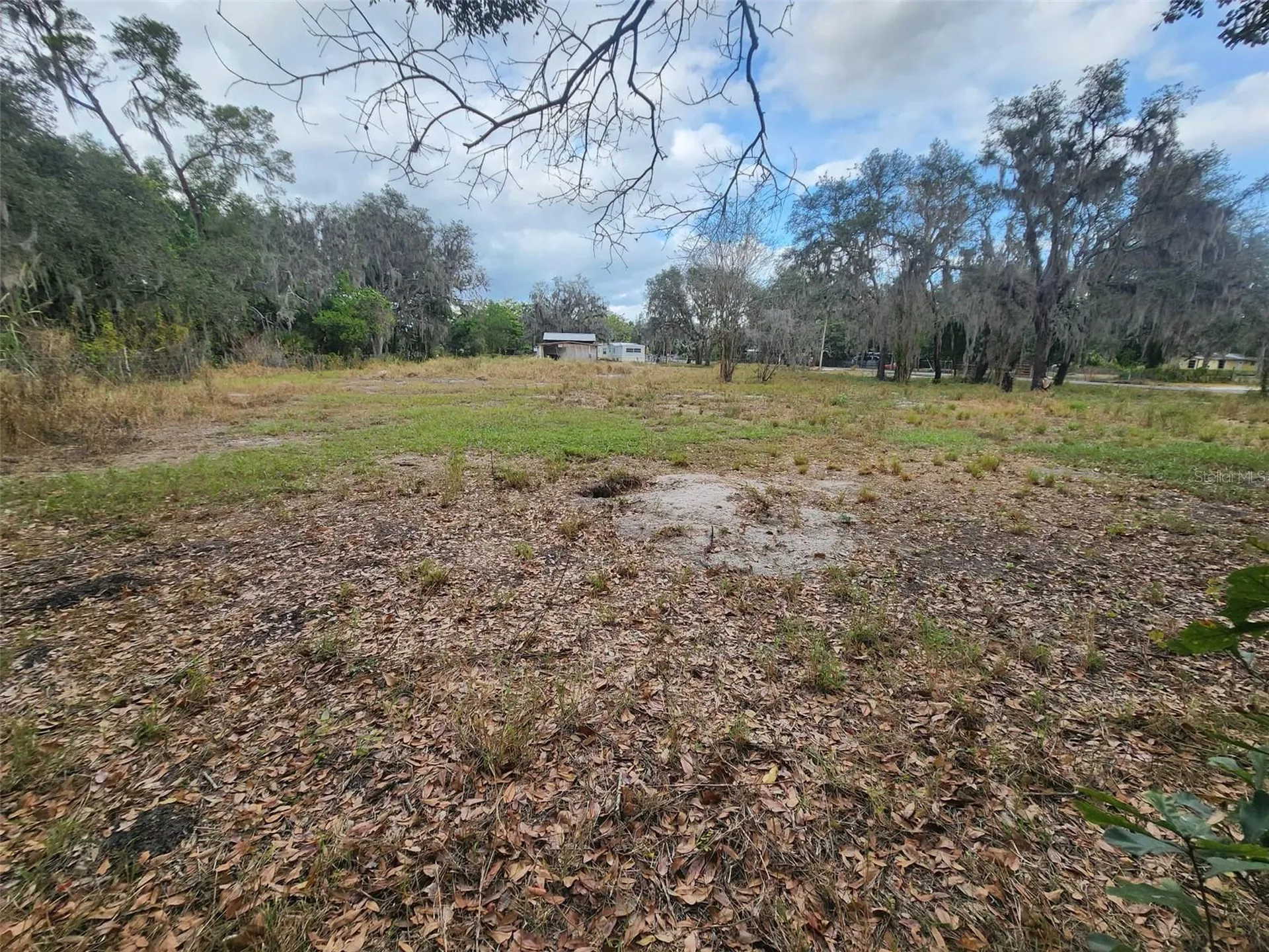 1409 Wilkinson Drive Plant City FL 33566