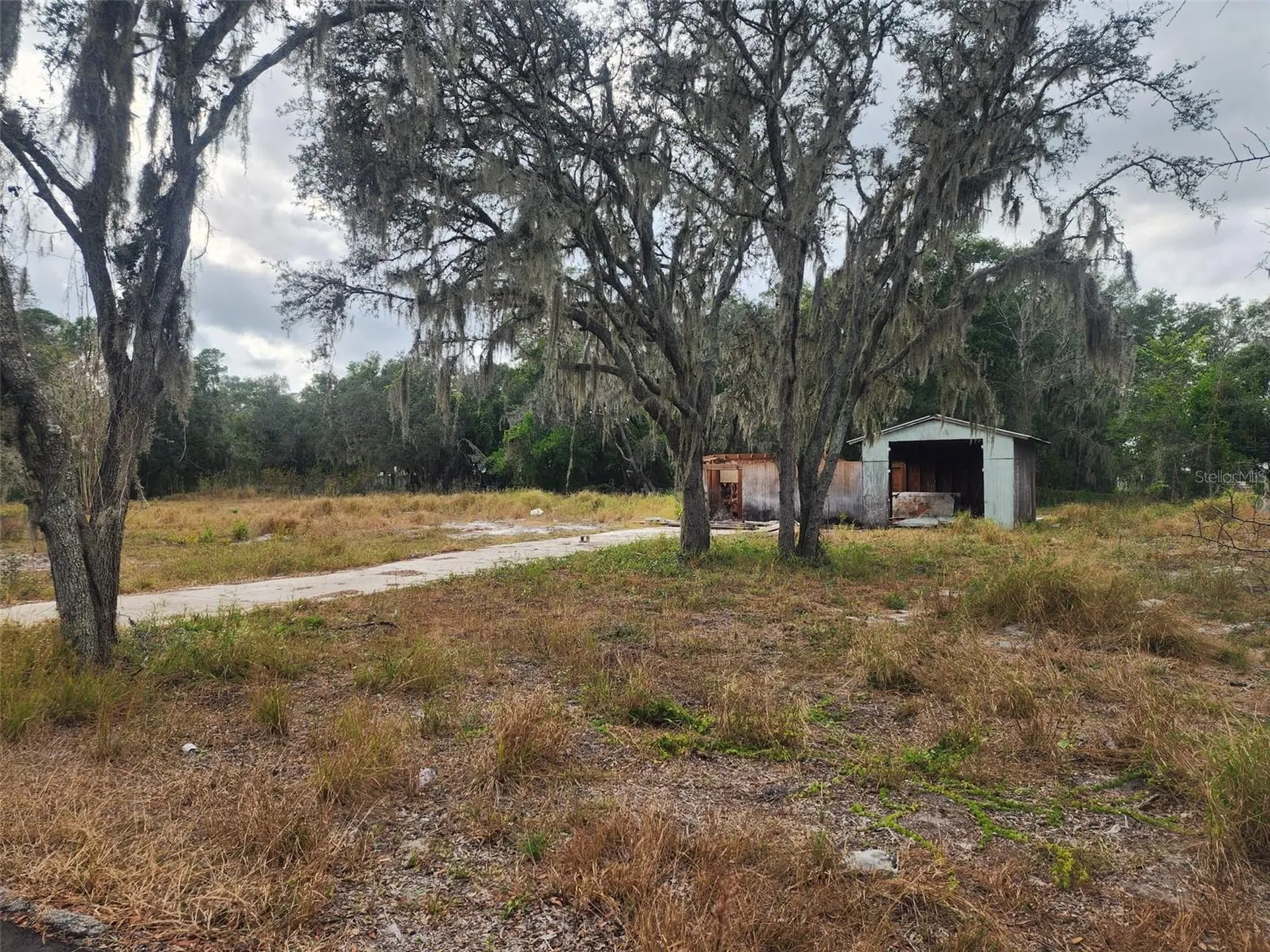 1409 Wilkinson Drive Plant City FL 33566