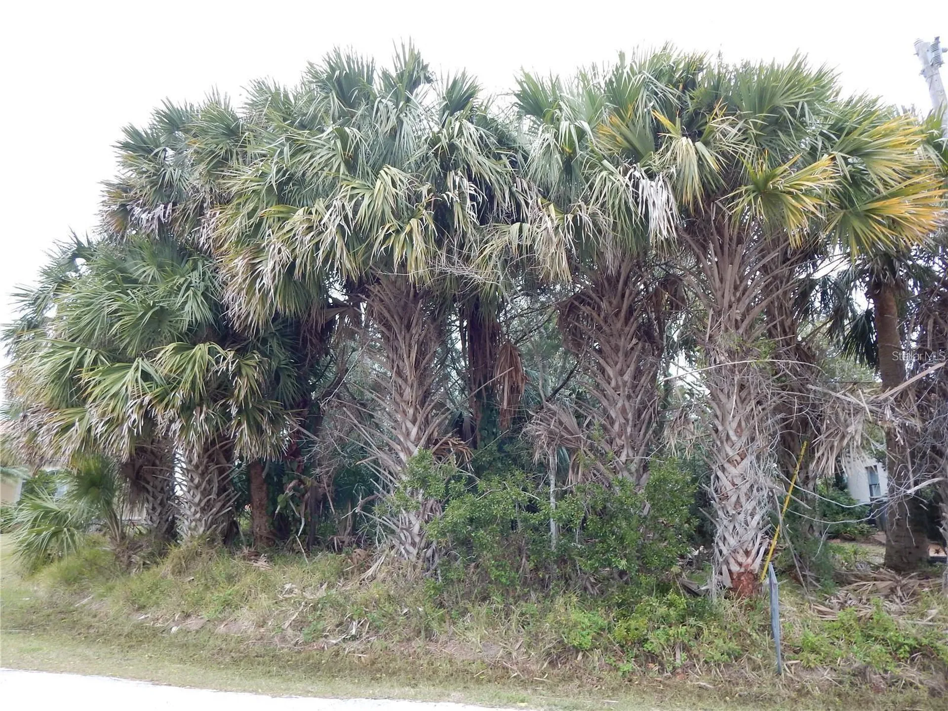 8 Collingville Court Palm Coast FL 32137