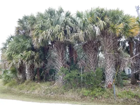 8 Collingville Court Palm Coast FL 32137