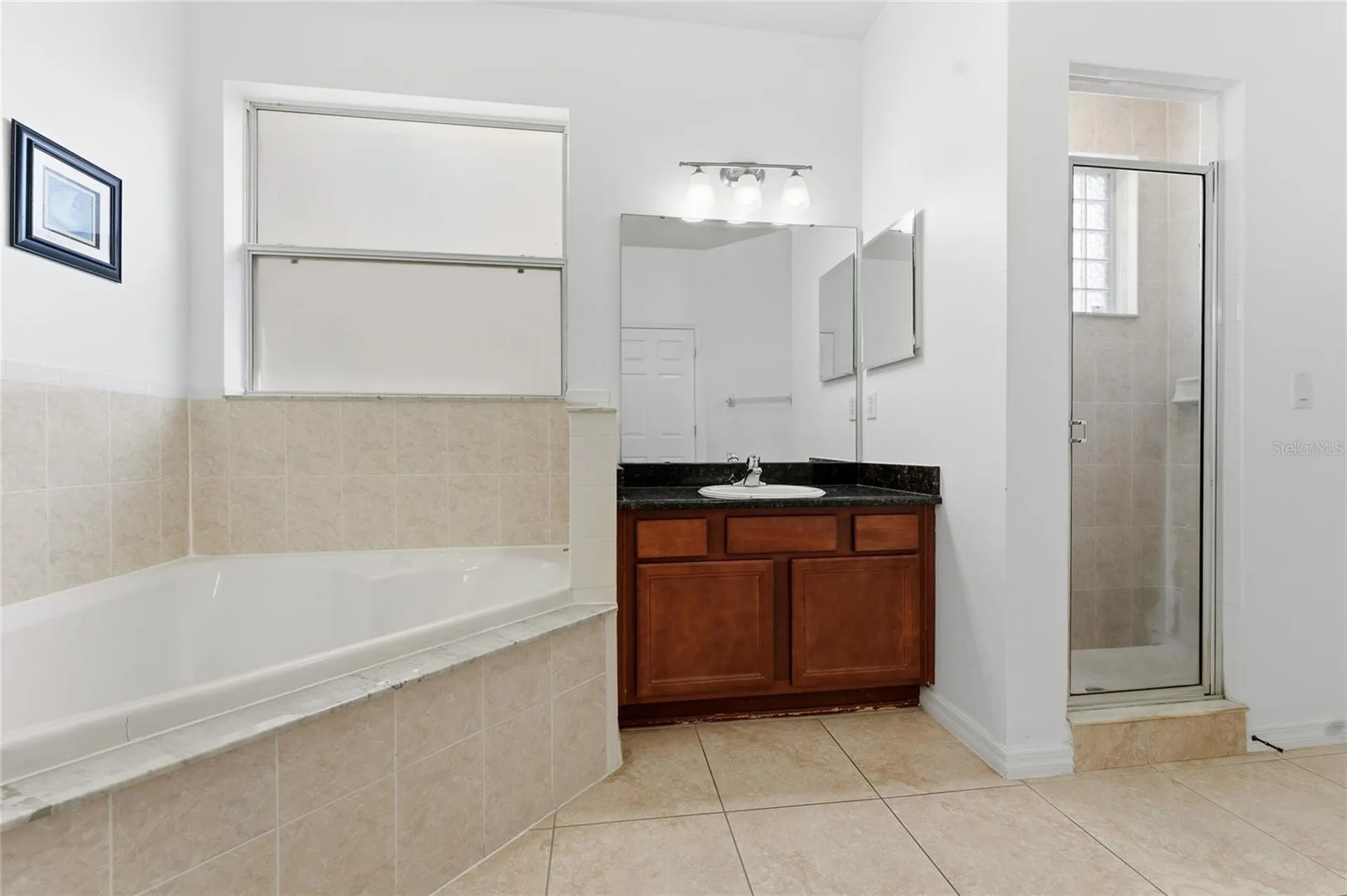 4704 Blue Diamond Street Kissimmee FL 34746