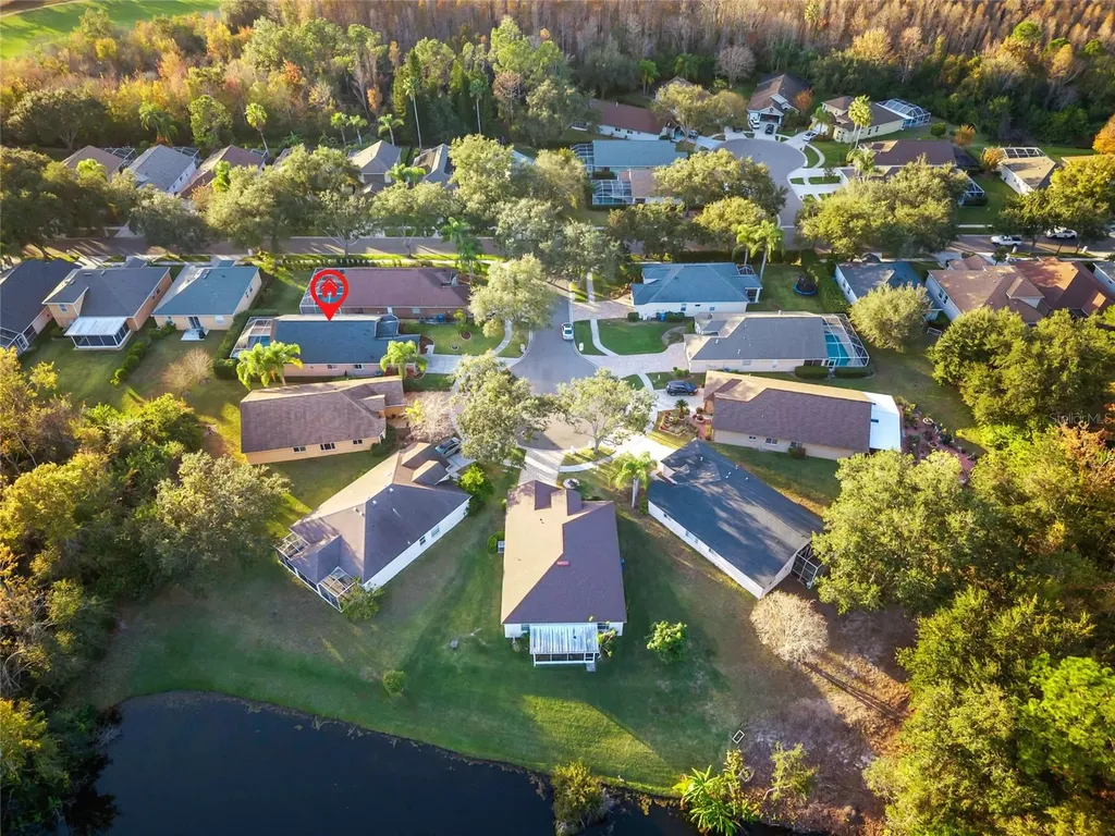 6006 Chellas Court Lutz FL 33558