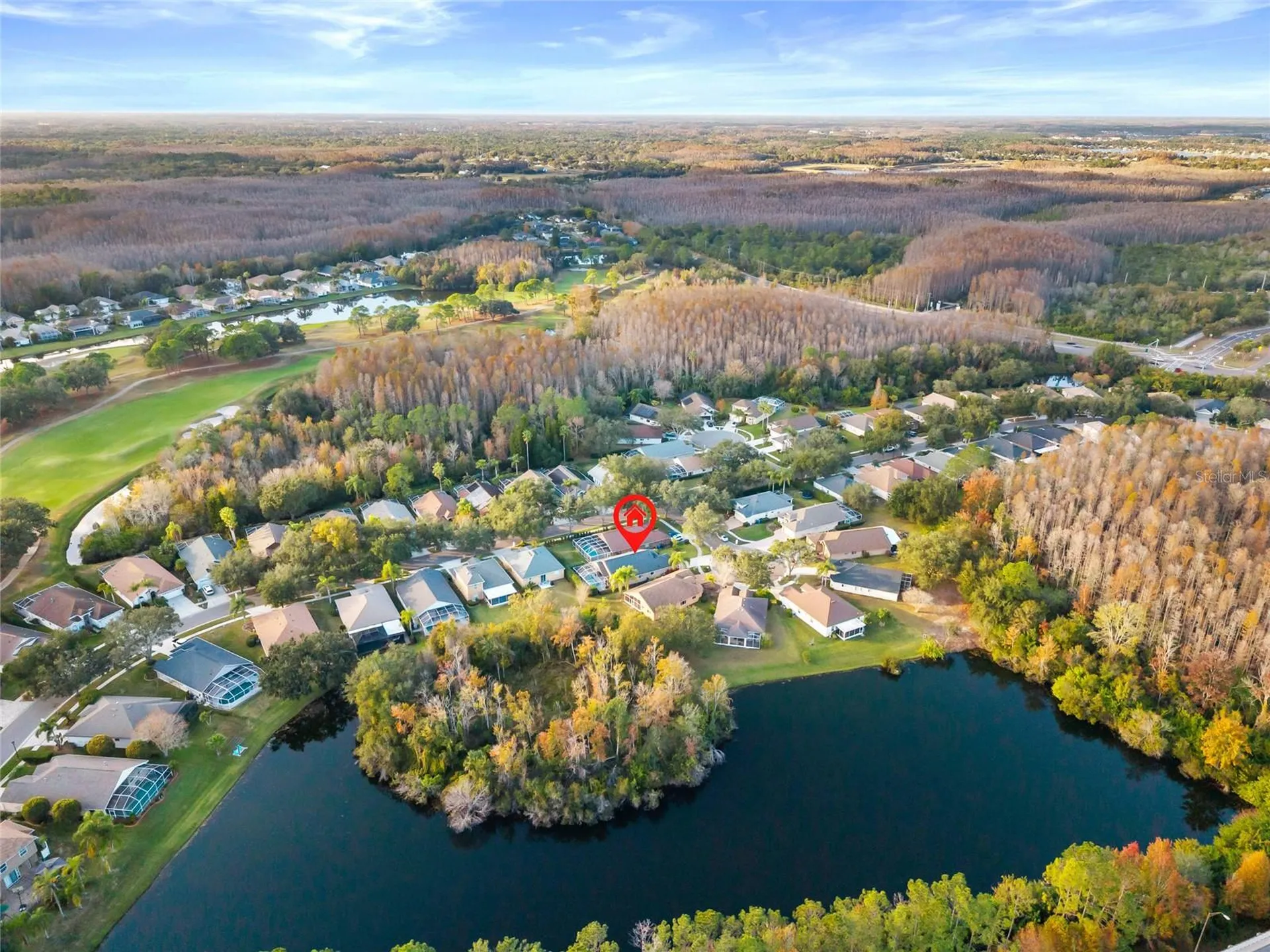 6006 Chellas Court Lutz FL 33558