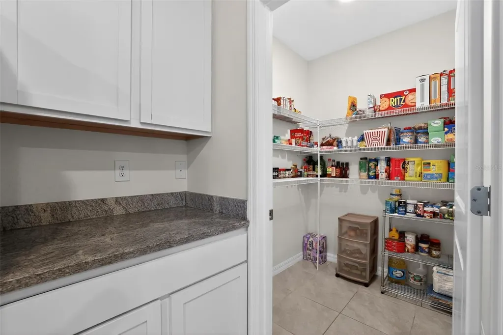 32597 Canyonlands Drive Wesley Chapel FL 33543
