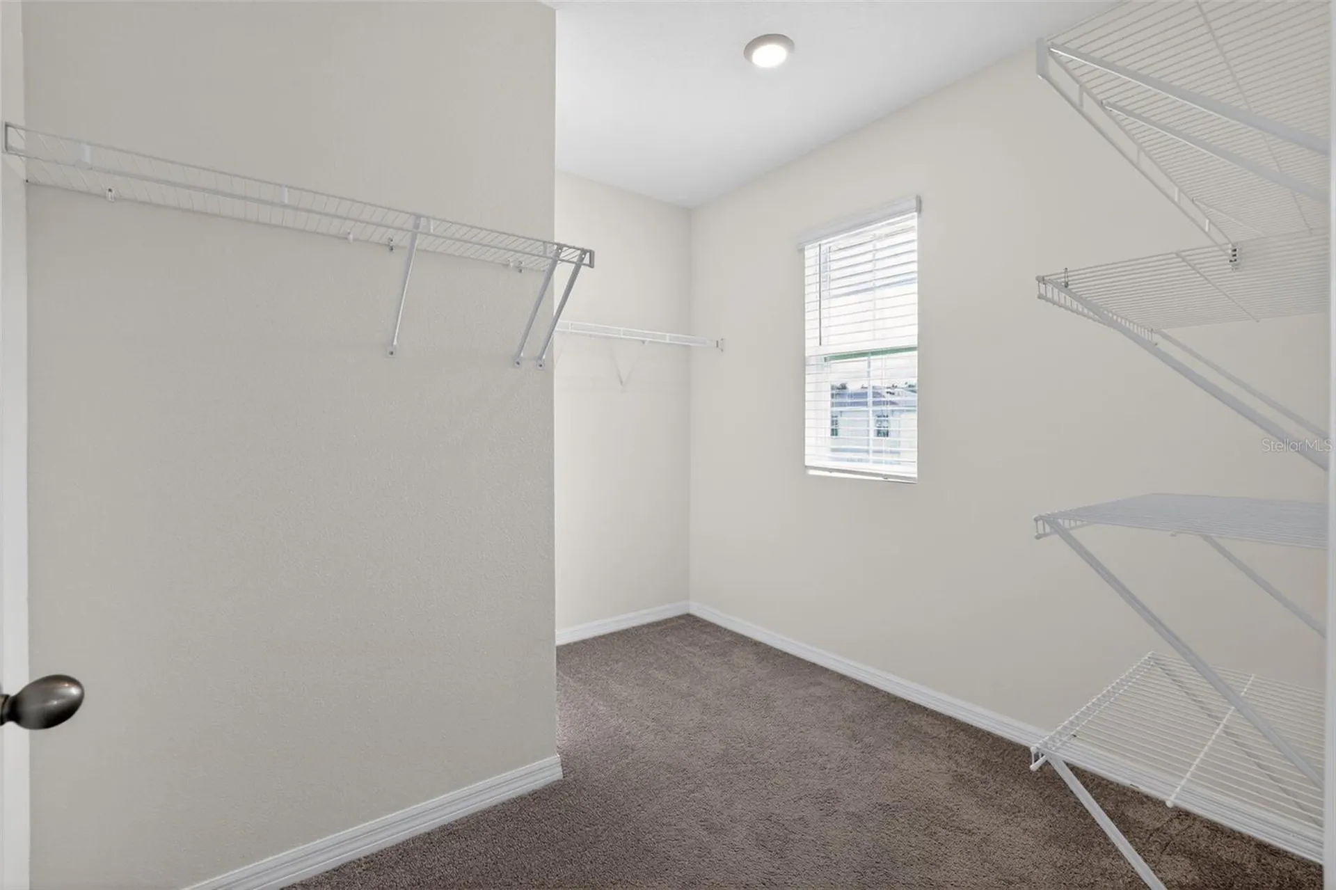 32597 Canyonlands Drive Wesley Chapel FL 33543