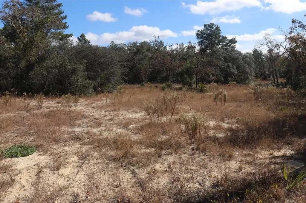 9097 N Peewee Point Dunnellon FL 34433