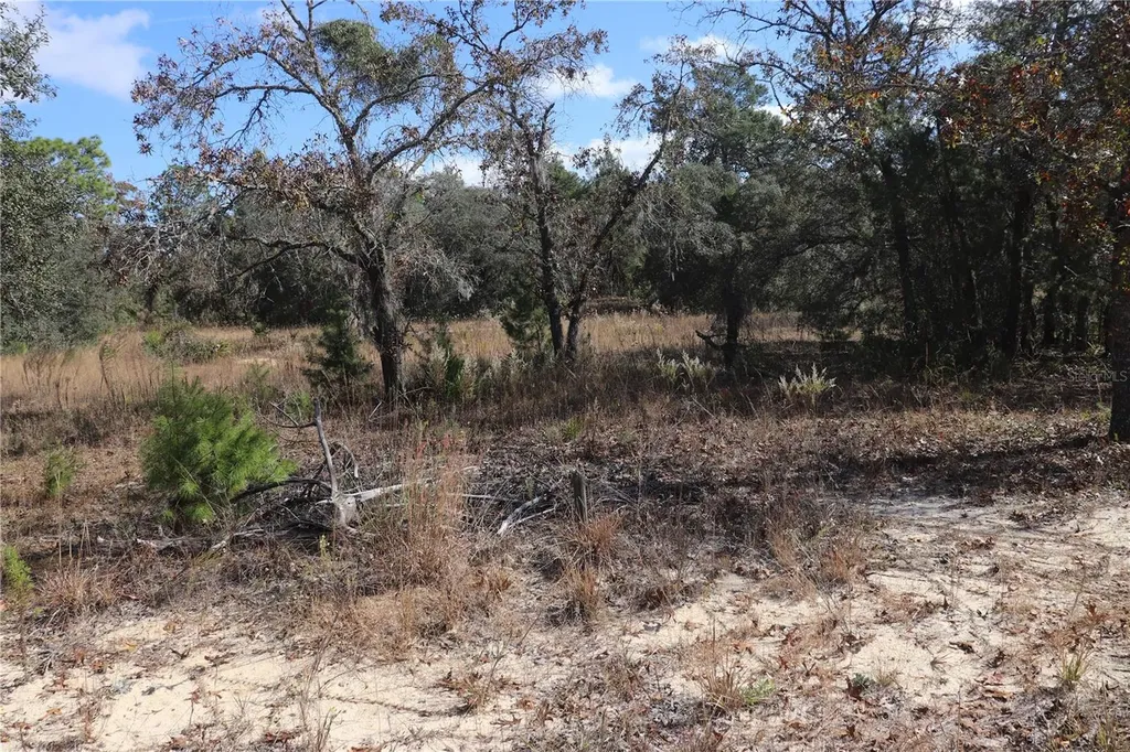 9097 N Peewee Point Dunnellon FL 34433