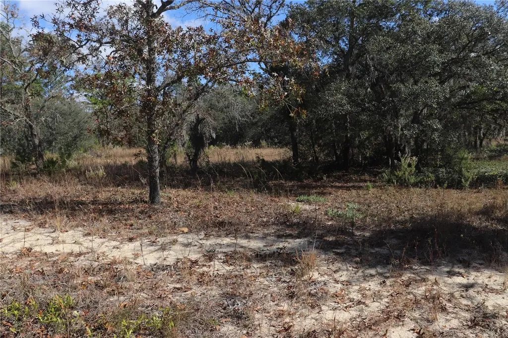 9097 N Peewee Point Dunnellon FL 34433