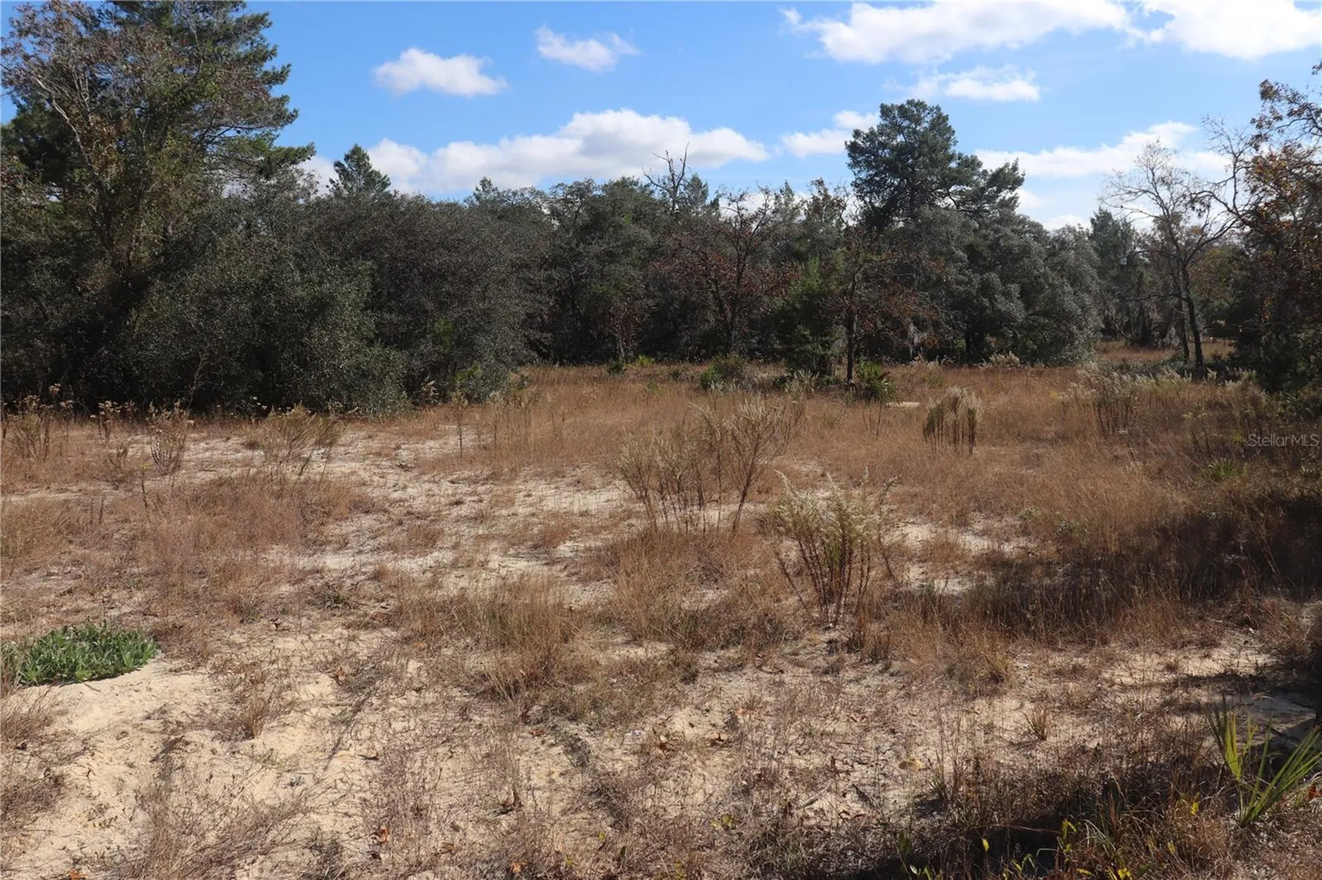 9097 N Peewee Point Dunnellon FL 34433