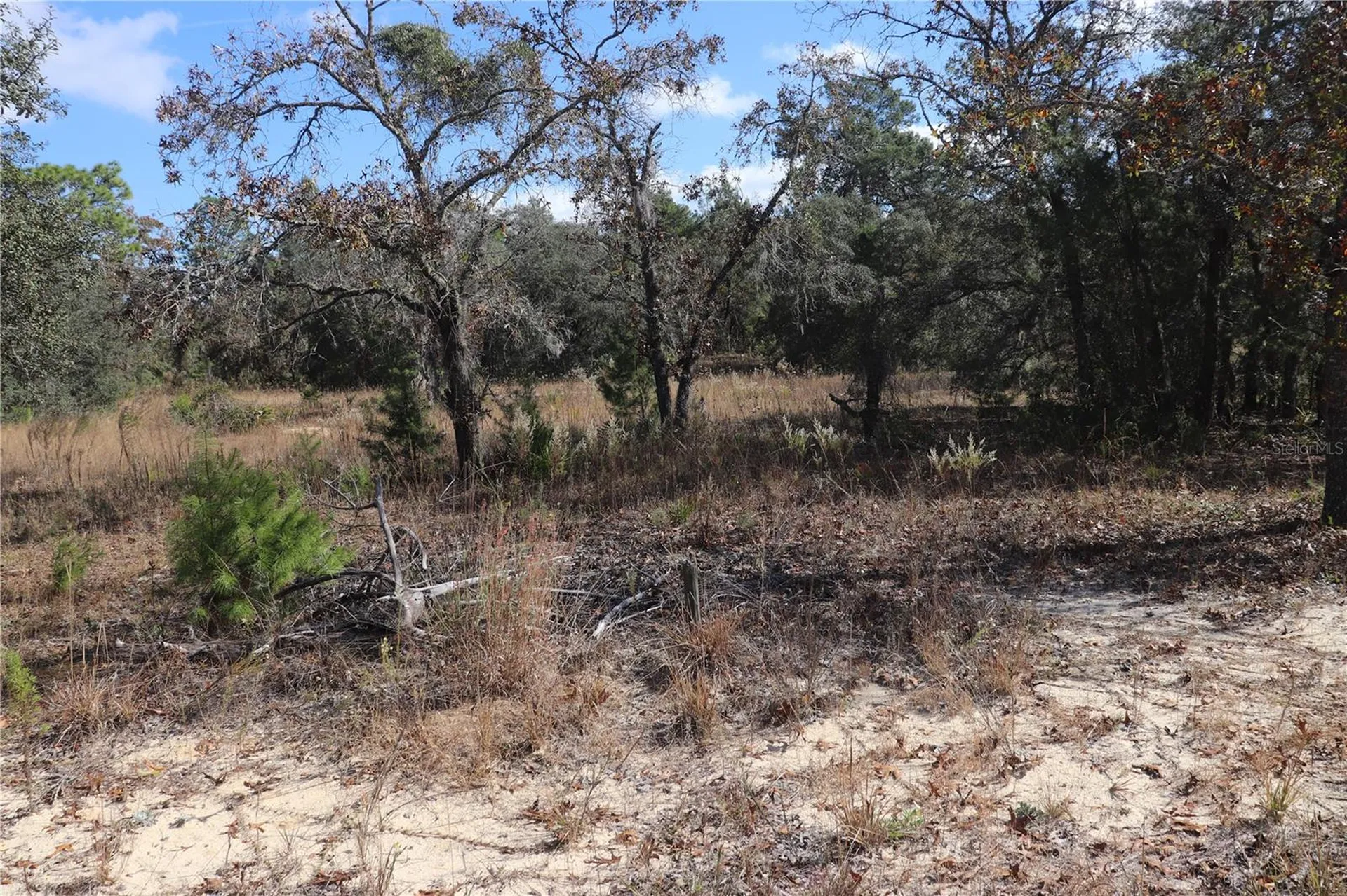 9097 N Peewee Point Dunnellon FL 34433