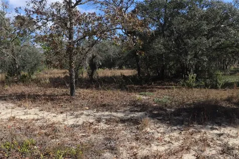 9097 N Peewee Point Dunnellon FL 34433