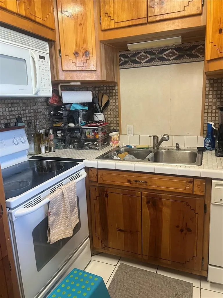 4224 E Bird Street Tampa FL 33617