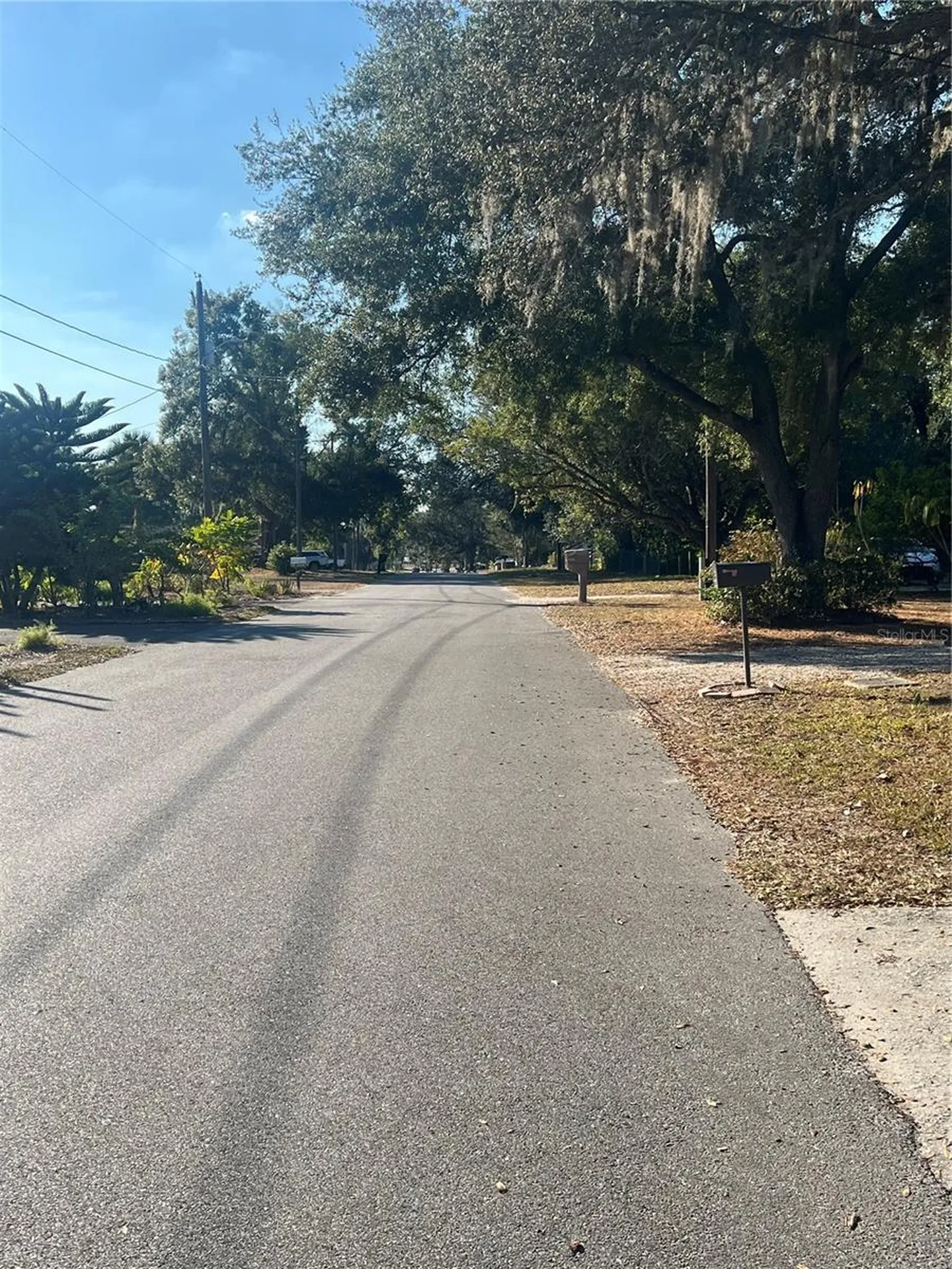 4224 E Bird Street Tampa FL 33617
