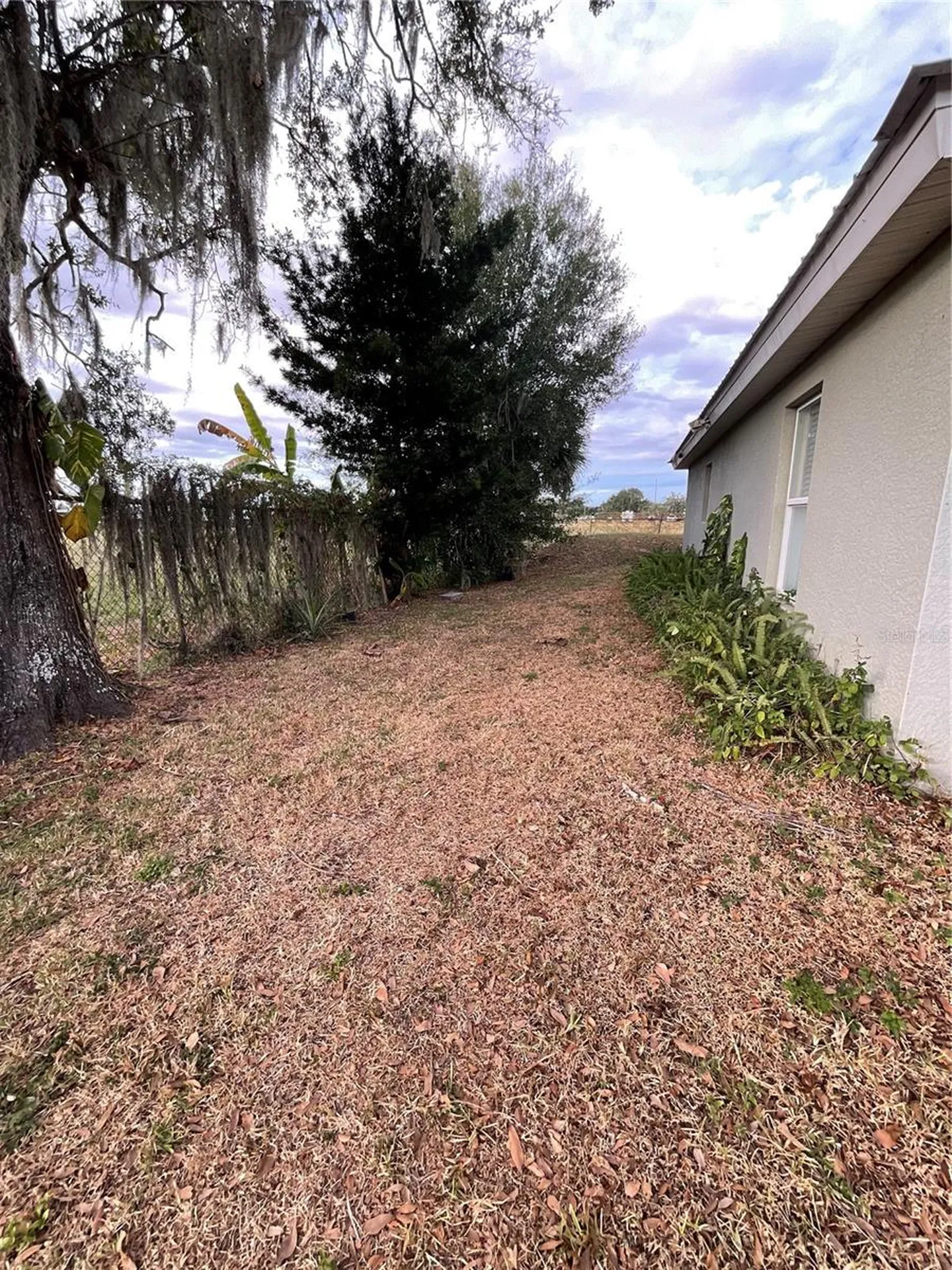 1030 SW Palm Drive Arcadia FL 34266