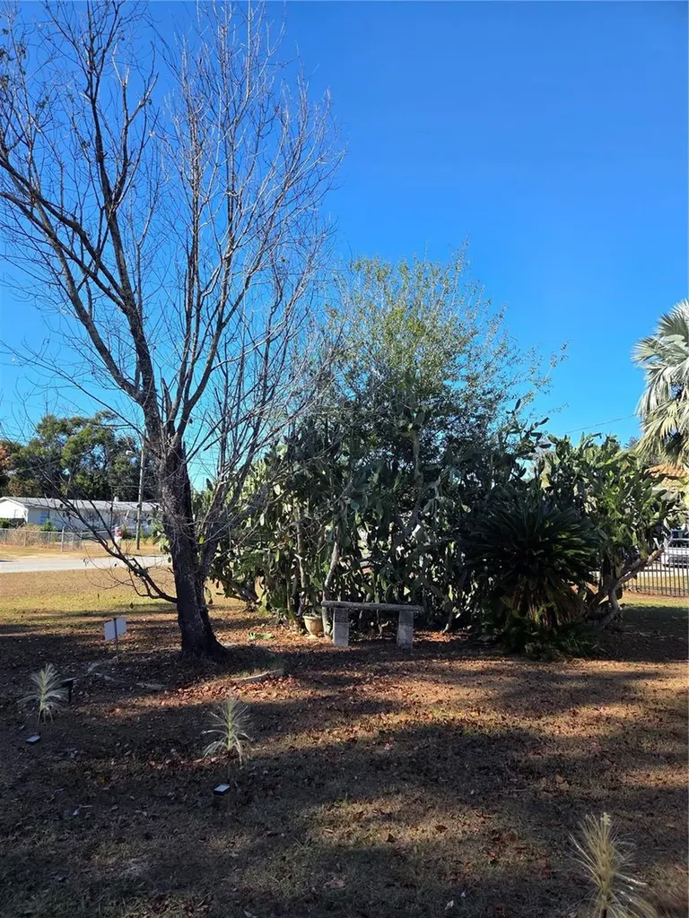 505 Murcott Place Valrico FL 33594