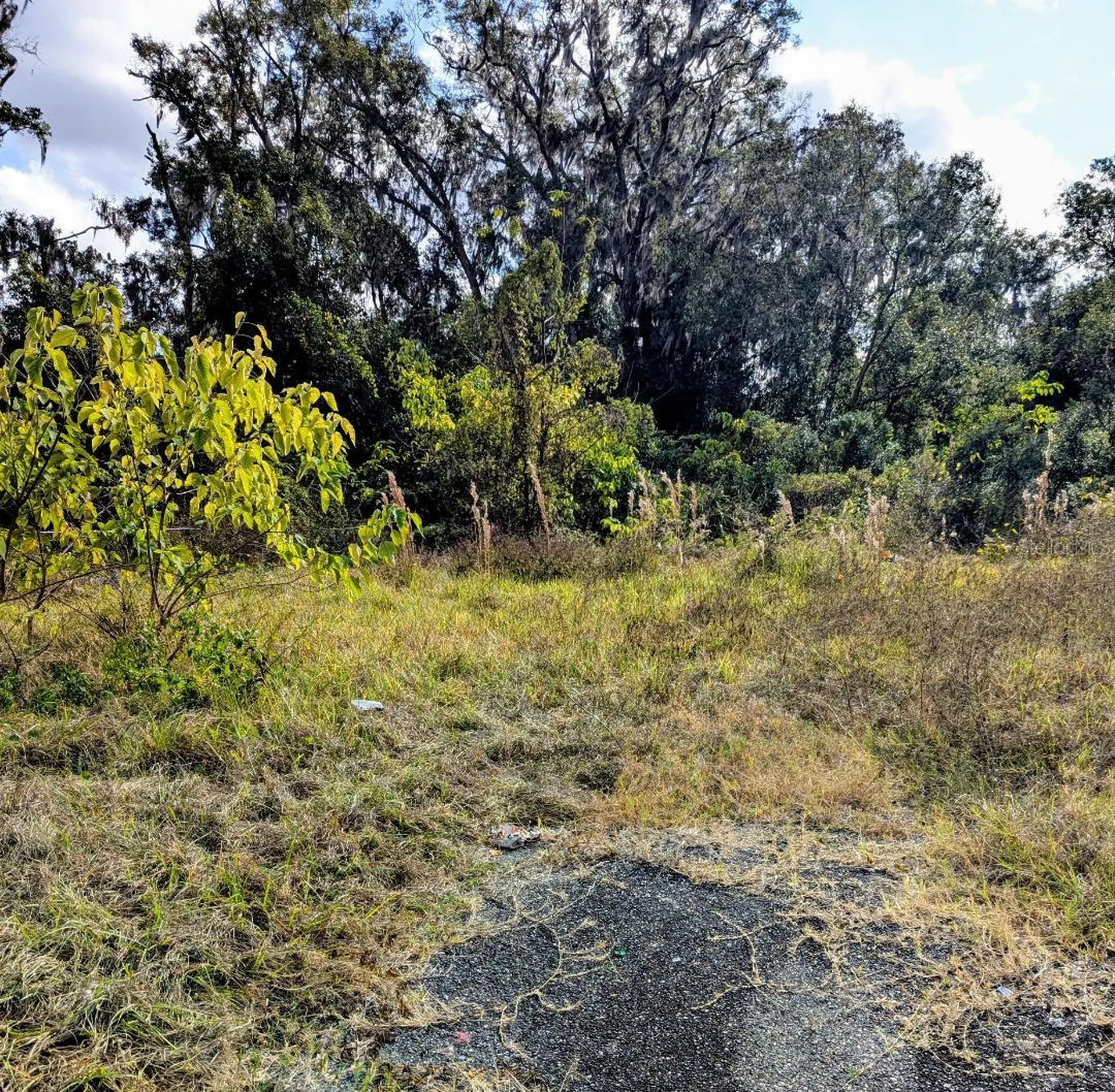 808 SW 3rd Street Ocala FL 34471