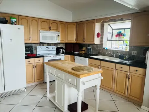 832 Palm Harbor Court Leesburg FL 34748