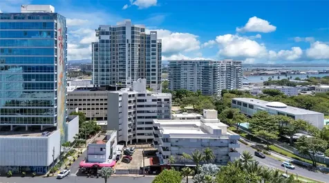 55 Las Palmeras San Juan PR 00901