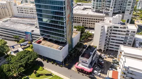 55 Las Palmeras San Juan PR 00901