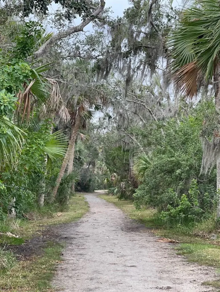 3800 Saxon Drive New Smyrna Beach FL 32169