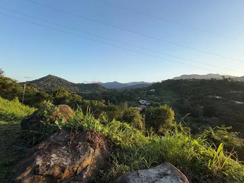 10 W Rainforest And Sea View Luquillo PR 00773