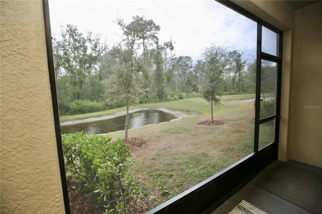 17620 Nectar Flume Drive Land O Lakes FL 34638