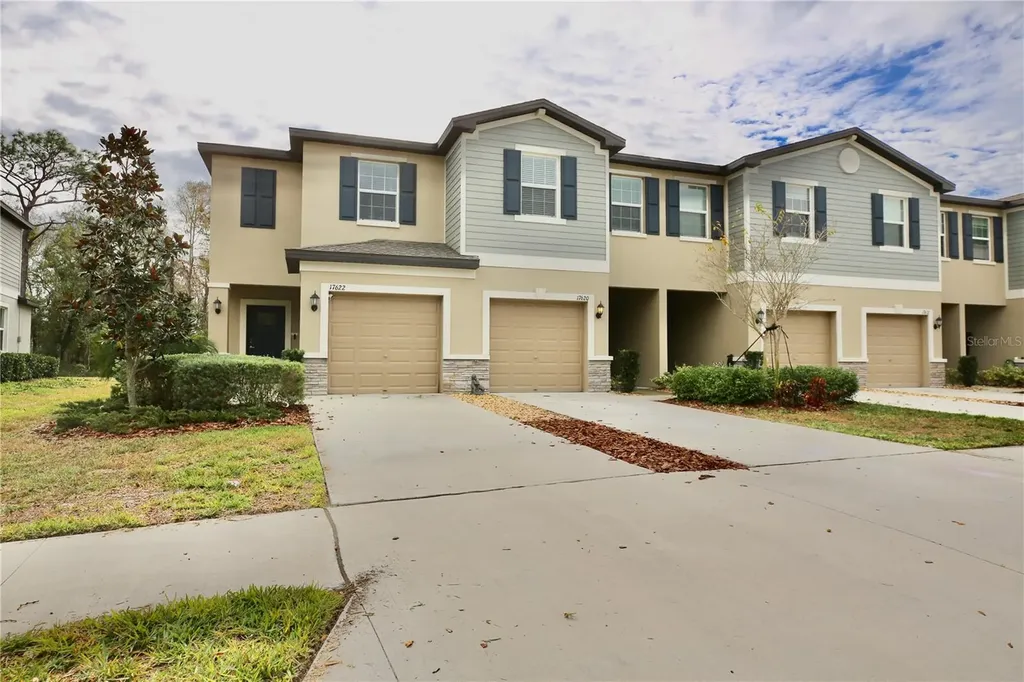 17620 Nectar Flume Drive Land O Lakes FL 34638