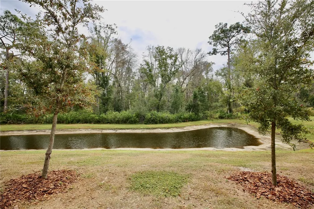 17620 Nectar Flume Drive Land O Lakes FL 34638
