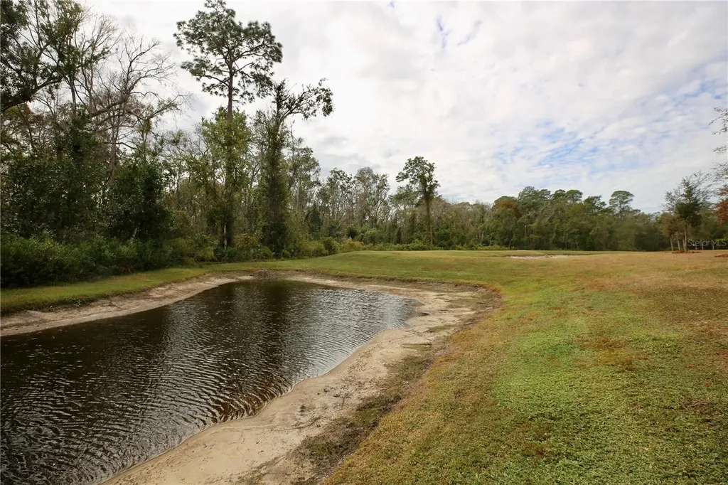 17620 Nectar Flume Drive Land O Lakes FL 34638