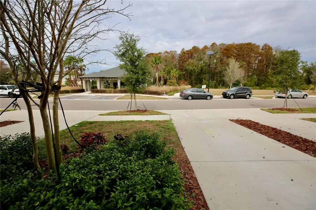 17620 Nectar Flume Drive Land O Lakes FL 34638