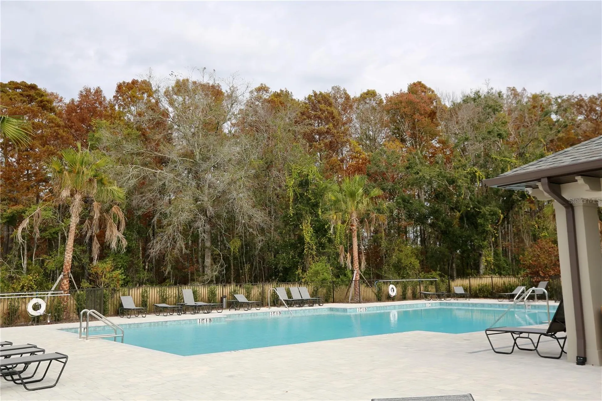 17620 Nectar Flume Drive Land O Lakes FL 34638