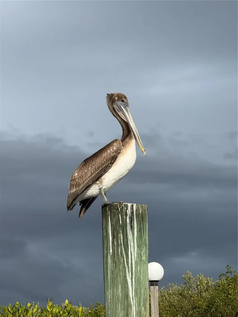 5925 Shore Boulevard S Gulfport FL 33707