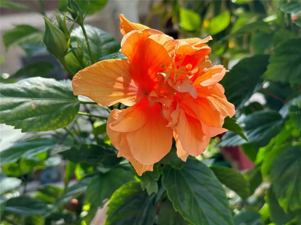 5925 Shore Boulevard S Gulfport FL 33707