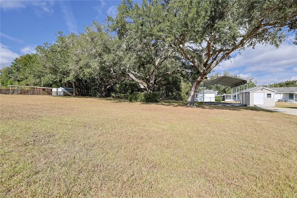8783 SE 156 Place Summerfield FL 34491