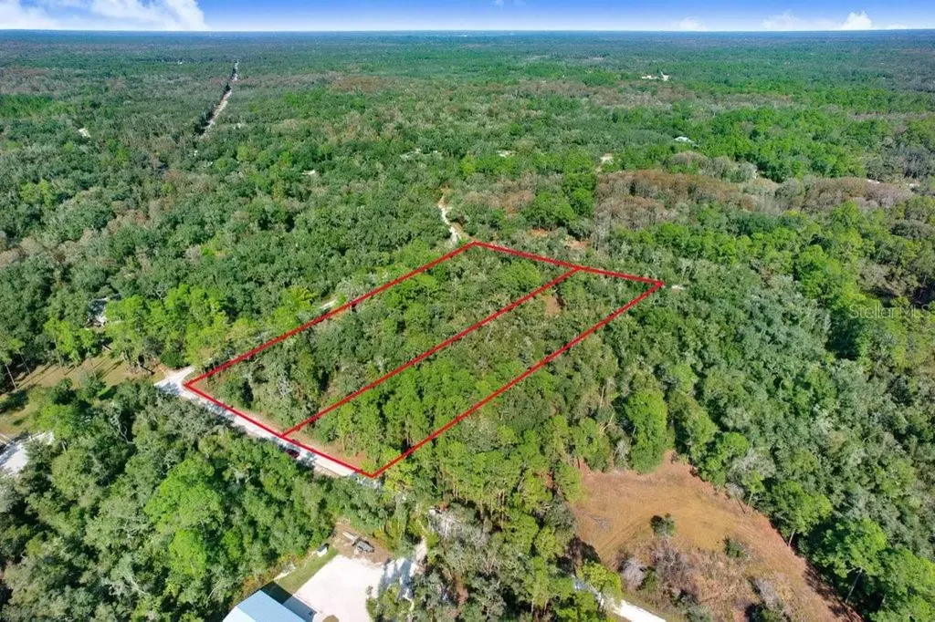Sonia Avenue Webster FL 33597