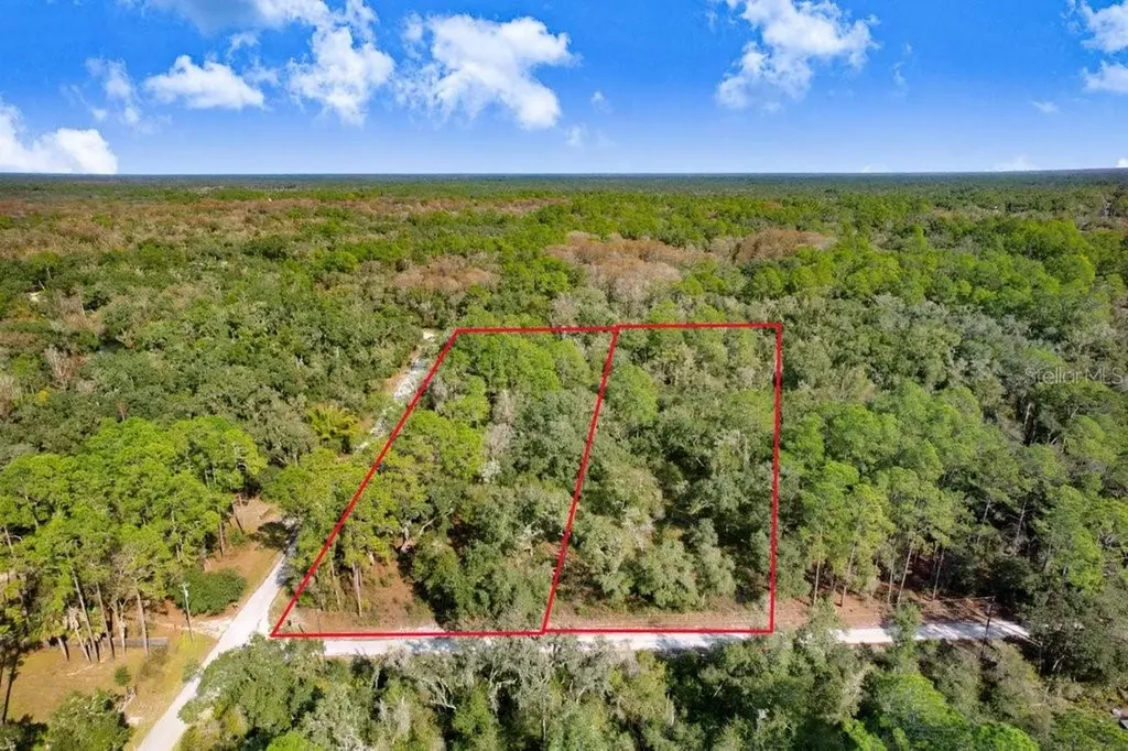 Sonia Avenue Webster FL 33597