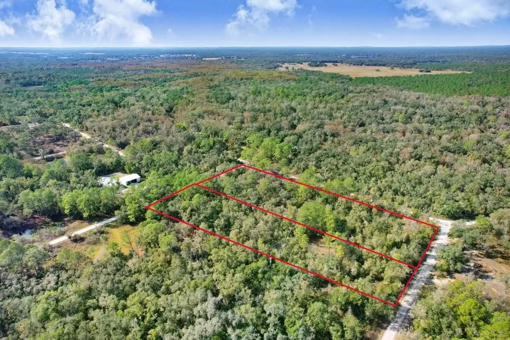 Sonia Avenue Webster FL 33597