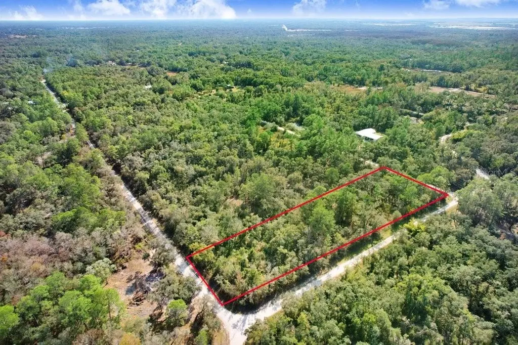 Sonia Avenue Webster FL 33597