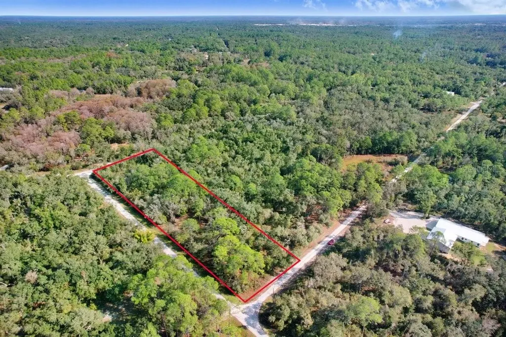 Sonia Avenue Webster FL 33597