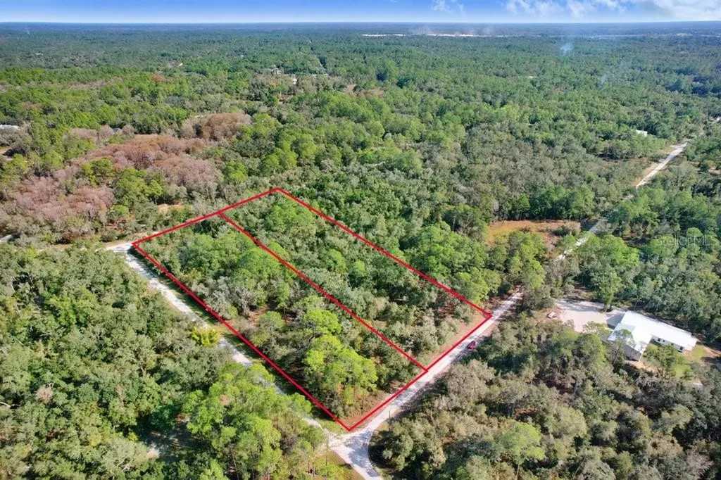 Sonia Avenue Webster FL 33597