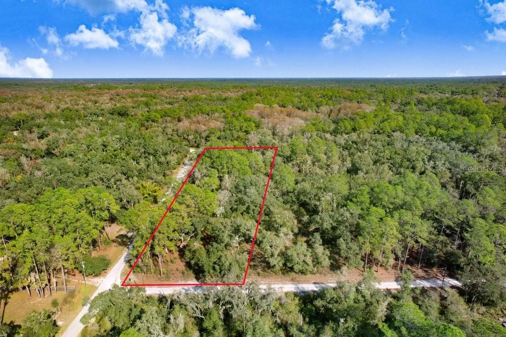 Sonia Avenue Webster FL 33597