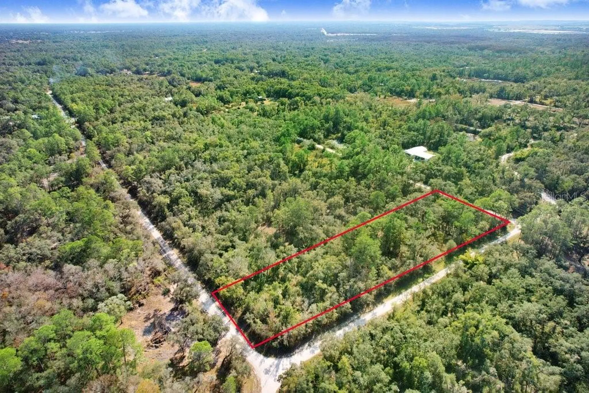 Sonia Avenue Webster FL 33597