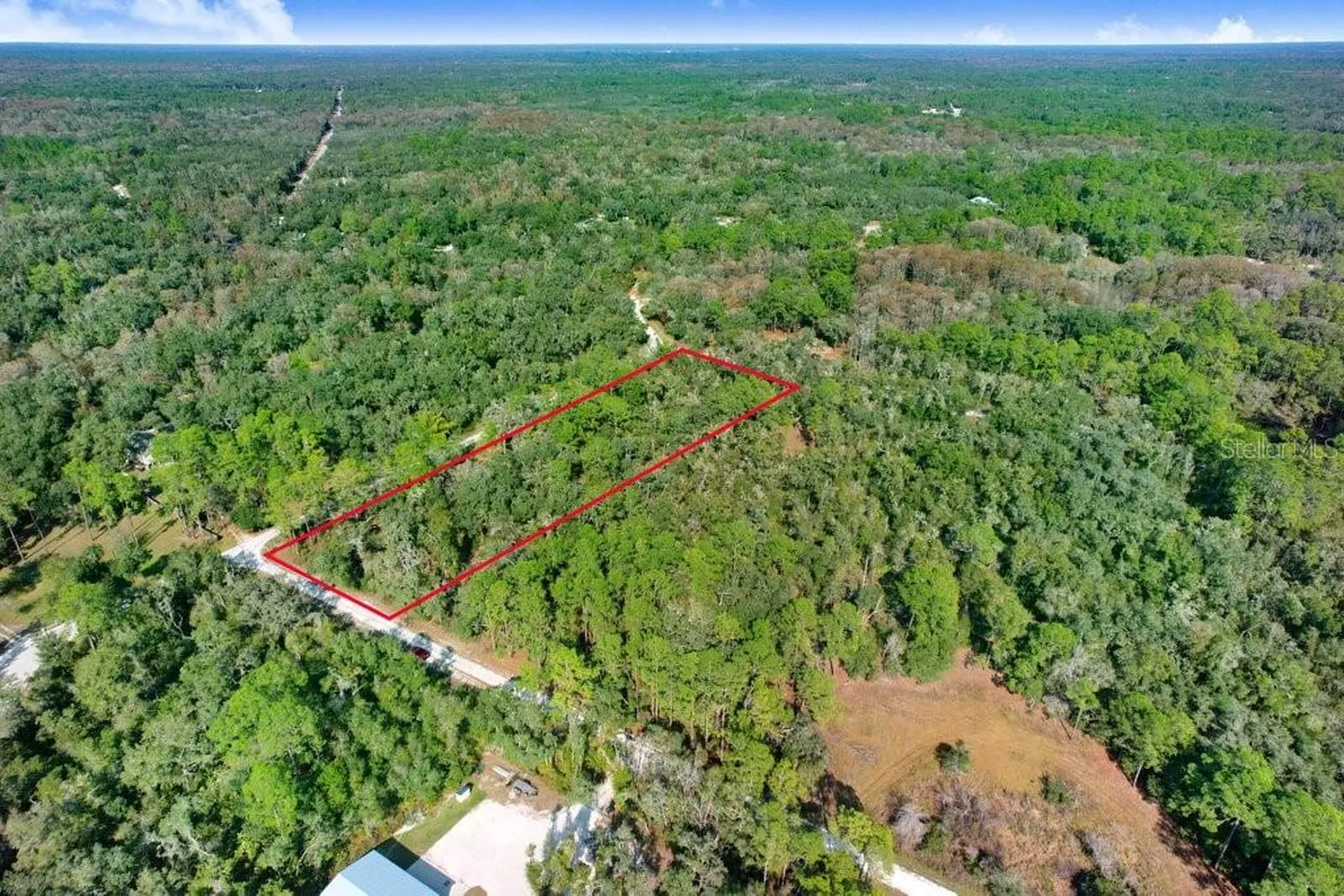 Sonia Avenue Webster FL 33597