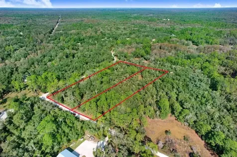 Sonia Avenue Webster FL 33597