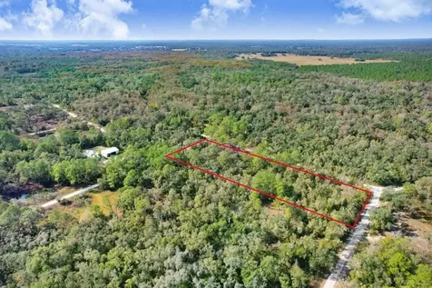 Sonia Avenue Webster FL 33597