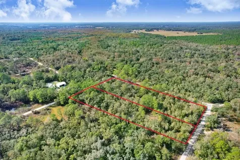 Sonia Avenue Webster FL 33597
