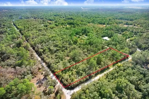 Sonia Avenue Webster FL 33597