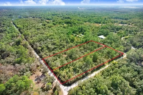 Sonia Avenue Webster FL 33597