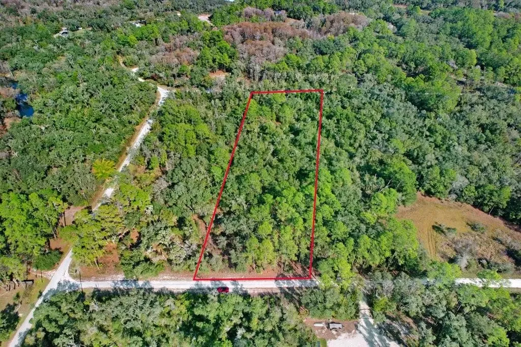 7292 Sonia Avenue Webster FL 33597