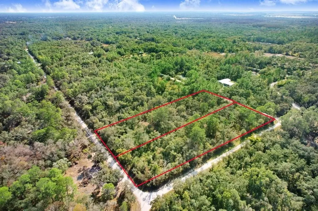 7292 Sonia Avenue Webster FL 33597